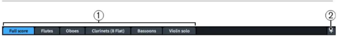 STEINBERG Dorico Elements 3.5 - CONSEIL - 1