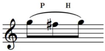 STEINBERG Dorico Elements 3.5 - Ligados - 1