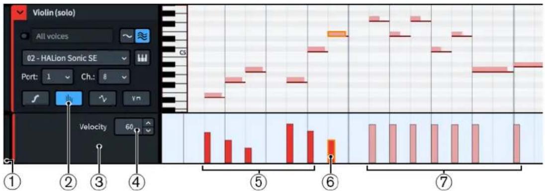 STEINBERG Dorico Elements 3.5 - Lignes de vélocité - 1