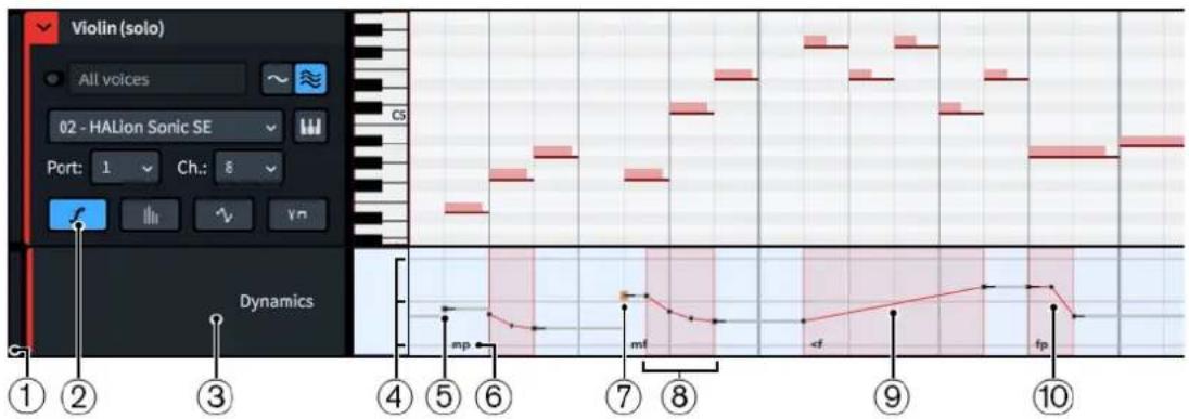 STEINBERG Dorico Elements 3.5 - À NOTER - 1