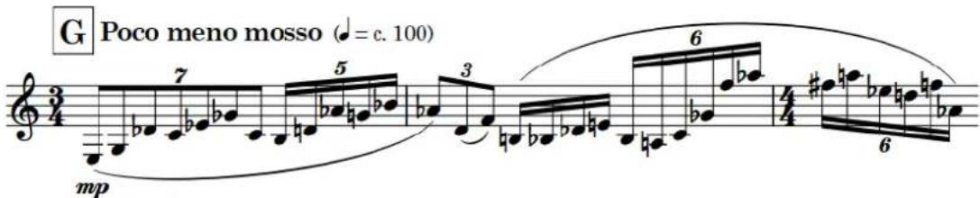 STEINBERG Dorico Elements 3.5 - Repères - 1