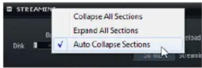 STEINBERG HALion 4 - Auto Collapse Sections - 1