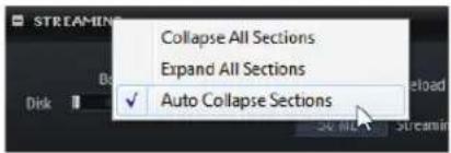 STEINBERG HALion 4 - Auto Collapse Sections - 1