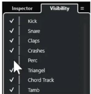 STEINBERG Cubase Pro 13 - Afficher/Masquer des pistes individuelles - 1