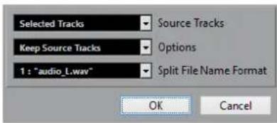 STEINBERG Cubase Pro 13 - Boîte de dialogue Séparer multicanaux en mono - 1