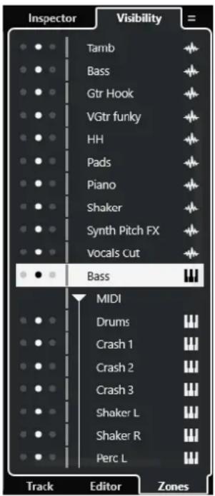 STEINBERG Cubase Pro 13 - Visibilité des pistes - 1