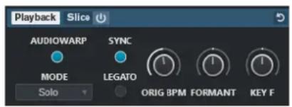 STEINBERG Cubase Pro 13 - AudioWarp - 1