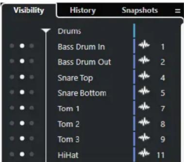 STEINBERG Cubase Pro 13 - Visibilité dans la MixConsole - 1