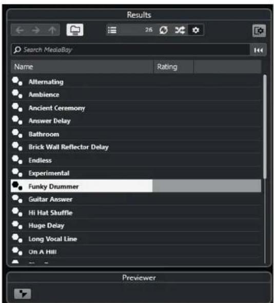 STEINBERG Cubase Pro 13 - Explorateur de préréglages - 1