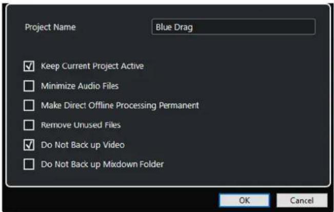 STEINBERG Cubase Pro 13 - Boîte de dialogue Options de copie de sauvegarde - 1