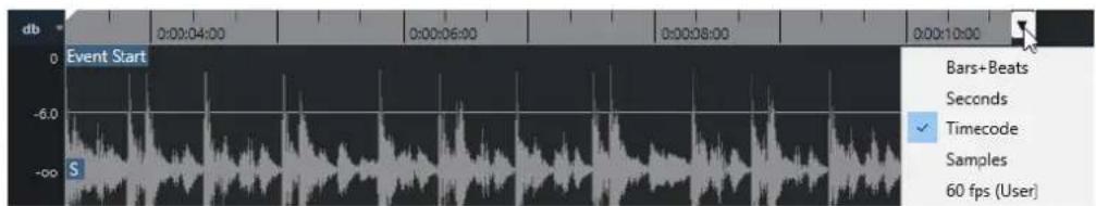 STEINBERG Cubase Pro 13 - Règle - 1
