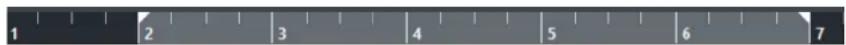 STEINBERG Cubase Pro 13 - Règle - 1