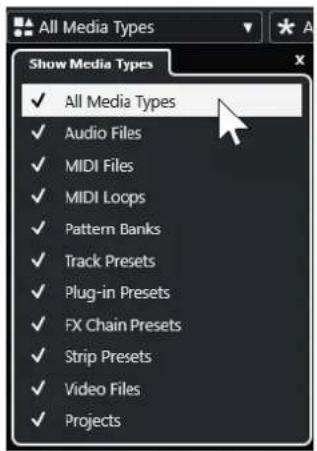 STEINBERG Cubase Pro 13 - PROCÉDER AINSI - 1