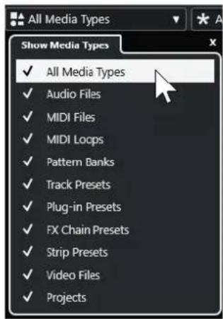 STEINBERG Cubase Pro 13 - Sélecteur Afficher types de média - 1