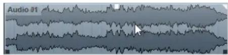 STEINBERG Cubase Pro 13 - À NOTER - 1
