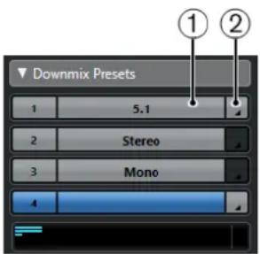 STEINBERG Cubase Pro 13 - Moniteurs - 2