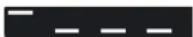 STEINBERG Cubase Pro 13 - Pattern de clic - 1