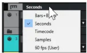 STEINBERG Cubase Pro 13 - Commandes de la piste Règle - 1