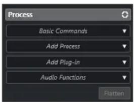 STEINBERG Cubase Pro 13 - Section Traitement - 1