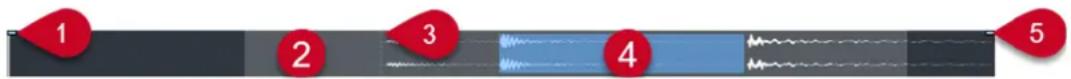 STEINBERG Cubase Pro 13 - Barre d'aperçu - 1