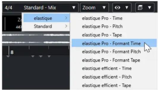 STEINBERG Cubase Pro 13 - Préréglages d'algorithme - 1