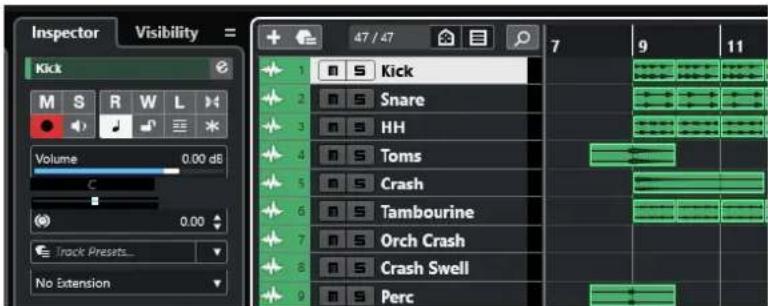 STEINBERG Cubase Pro 13 - Pistes - 1