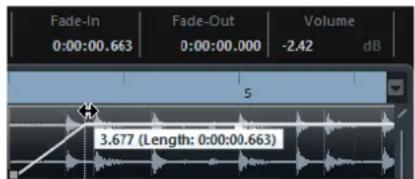 STEINBERG Cubase Pro 13 - À NOTER - 1