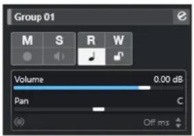 STEINBERG Cubase Pro 13 - Section Paramètres de base des pistes Voie de groupe - 1