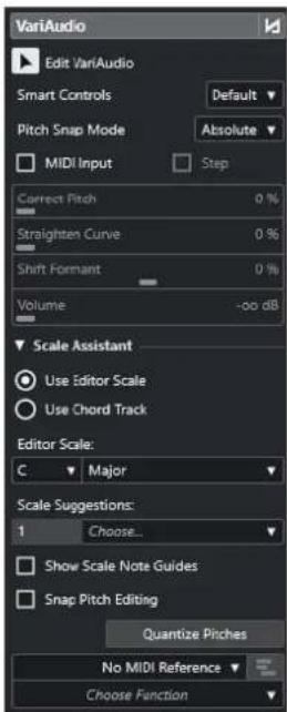 STEINBERG Cubase Pro 13 - Section VariAudio - 1