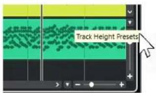 STEINBERG Cubase Pro 13 - Menu Préréglages de hauteur de piste - 1