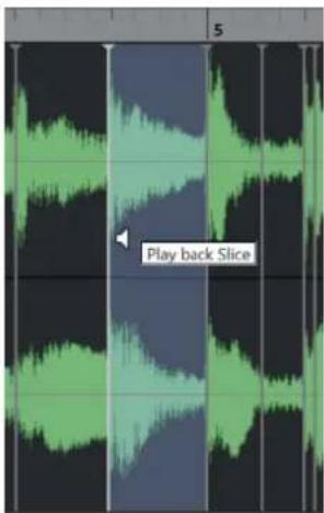 STEINBERG Cubase Pro 13 - PROCÉDER AINSI - 2
