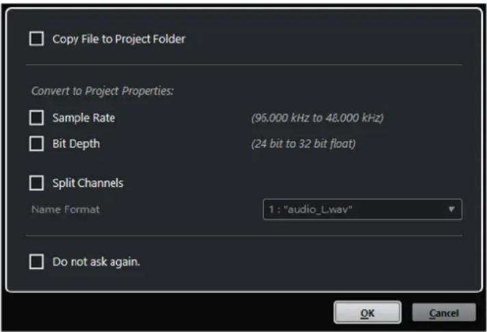 STEINBERG Cubase Pro 13 - Boîte de dialogue Options d'importation pour les fichiers audio - 1