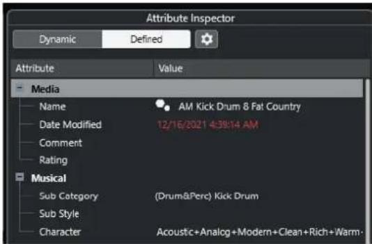 STEINBERG Cubase Pro 13 - À NOTER - 1