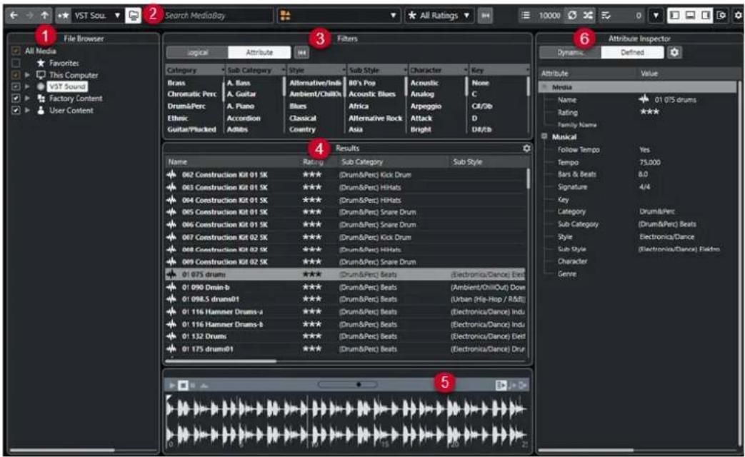 STEINBERG Cubase Pro 13 - Fenêtre de la MediaBay - 1