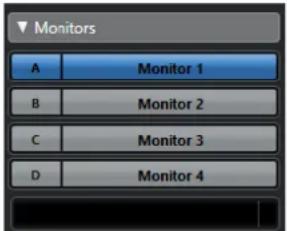 STEINBERG Cubase Pro 13 - Moniteurs - 1