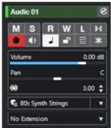 STEINBERG Cubase Pro 13 - Section Paramètres de base des pistes Audio - 1