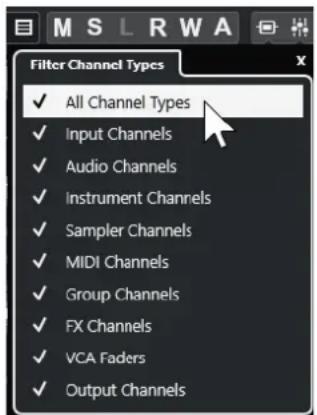 STEINBERG Cubase Pro 13 - Cliquez sur Définir le filtre de type de voie. - 1