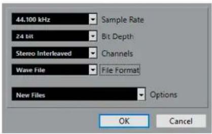 STEINBERG Cubase Pro 13 - Boîte de dialogue Options de conversion - 1