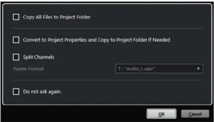 STEINBERG Cubase Pro 13 - Boîte de dialogue Options d'importation pour les fichiers audio - 2