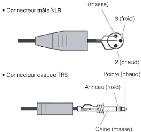 STEINBERG MR816X - Prise MIC/LINE/HI-Z (prise d'entrée analogique 1) et prise MIC/LINE (prise d'entrée analogique 2) - 1