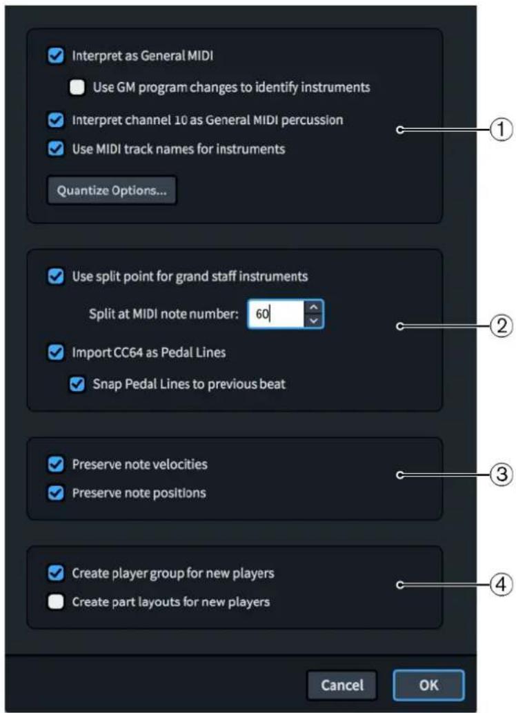 STEINBERG Dorico SE 3 - Boîte de dialogue Options d'importation MIDI - 1