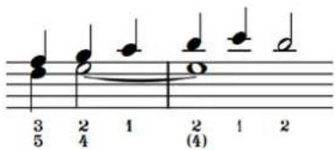 STEINBERG Dorico SE 3 - Doigtés de précaution - 1