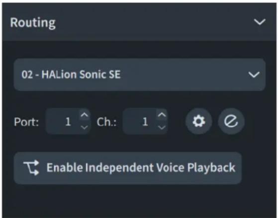 STEINBERG Dorico Elements 4 - Routage - 1