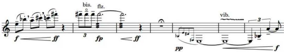 STEINBERG Dorico Elements 4 - Nuances - 1