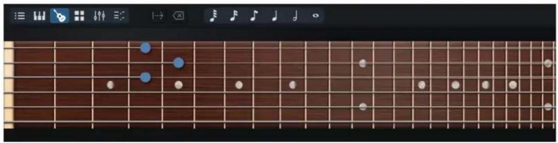 STEINBERG Dorico Elements 4 - Panneau Manche - 1