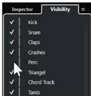 STEINBERG Cubase Artist 13 - Afficher/Masquer des pistes individuelles - 1