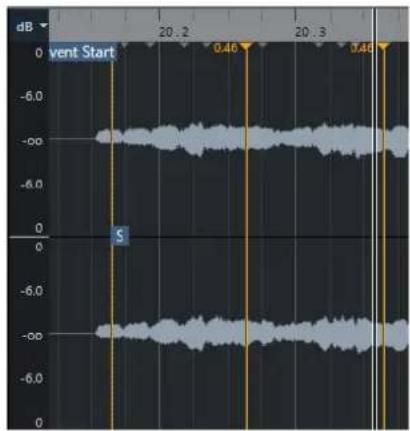 STEINBERG Cubase Artist 13 - Warp libre - 1