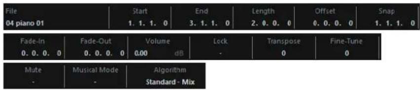 STEINBERG Cubase Artist 13 - Ligne d'infos - 1