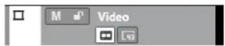 STEINBERG Cubase Artist 13 - Commandes des pistes Vidéo - 1
