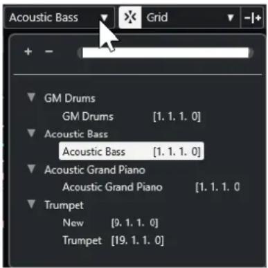 STEINBERG Cubase Artist 13 - Activer le conteneur pour l'édition - 1